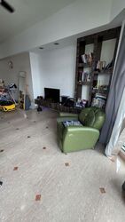 Signature Park (D21), Condominium #495584791